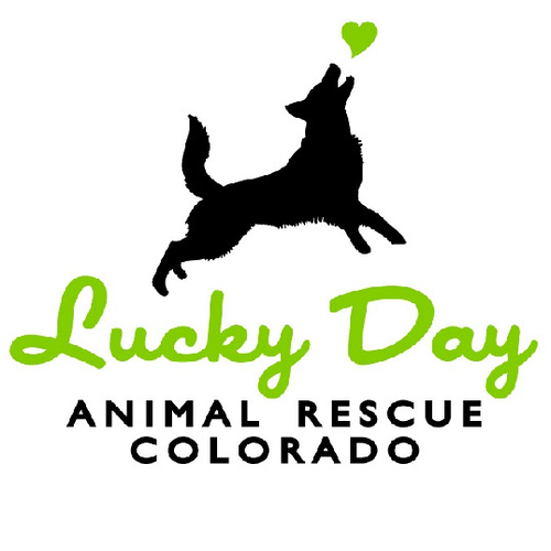 Lucky Day Animal Rescue of Colorado